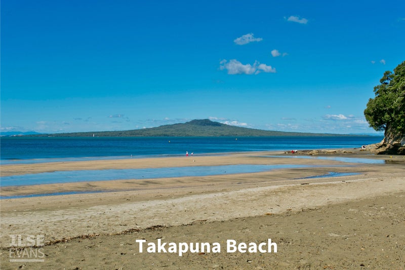 21 Francis Street, Hauraki, Auckland - Carousel 35