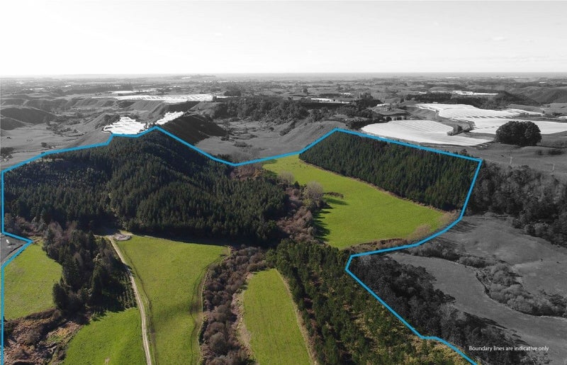 280 Mystery Valley Road, Te Puke - Carousel 1