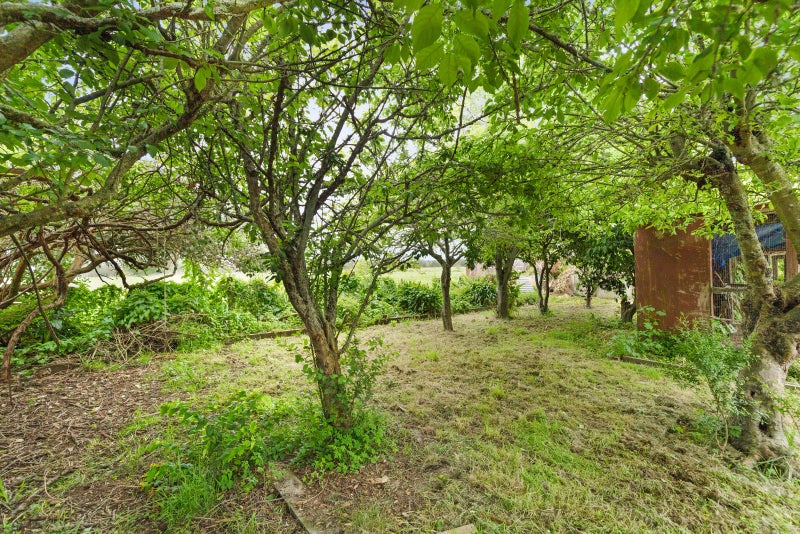 45 Farmer Road, Waitoa, Waitoa - Carousel 22