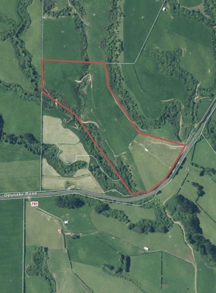 718 Opunake Road, Cardiff, Stratford - Carousel 9