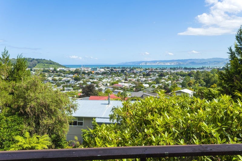 19 Hill Road, Whataupoko, Gisborne - Carousel 2
