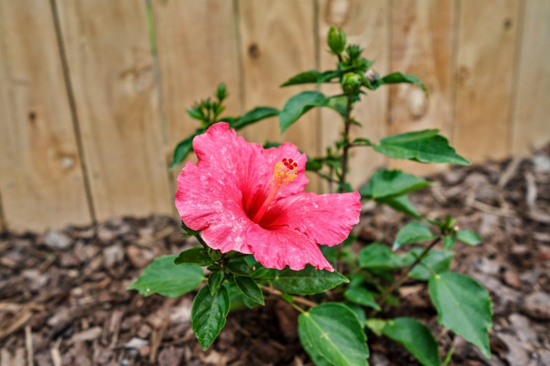 46 Shoemaker Road, Waipu, Waipu - Carousel 29