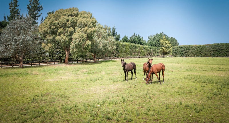 496 Knyvetts Road, Leeston - Carousel 1