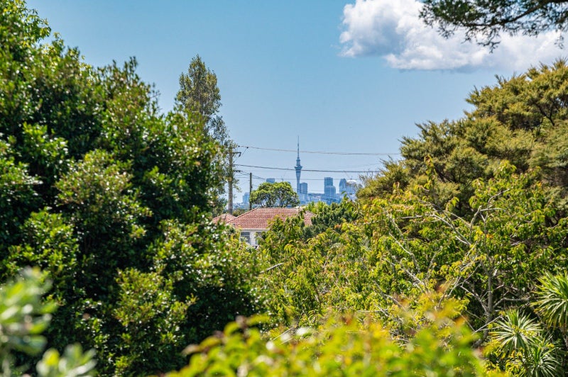 16 Deane Avenue, Titirangi, Auckland - Carousel 25