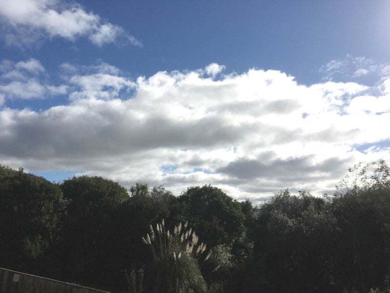 G4/19 Fleet Street, Eden Terrace, Auckland - Carousel 13