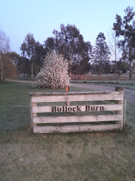 430 Birch Hill Road, Rangiora - Carousel 49