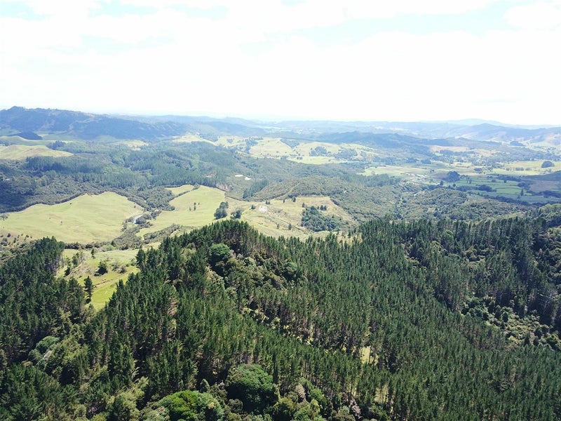 0 Honeymoon Valley Rd, Peria, Kaitaia - Carousel 20