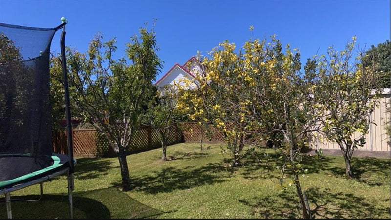 11 Tukura Road, Inner Kaiti, Gisborne - Carousel 6