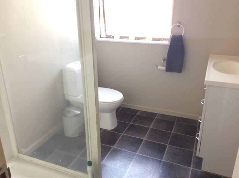 3/77 Lismore Street, Waltham, Christchurch - Carousel 8