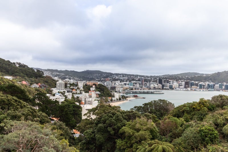 29A Grass Street, Roseneath, Wellington - Carousel 2