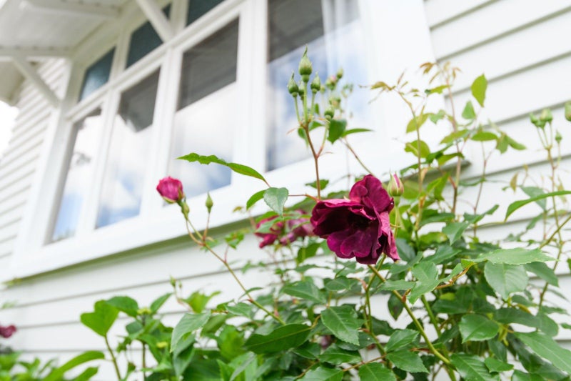 9 Rongopai Street, Palmerston North, Palmerston North - Carousel 19