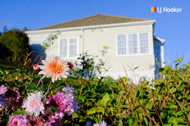 220 Hillingdon Street, Normanby, Dunedin - Carousel 14