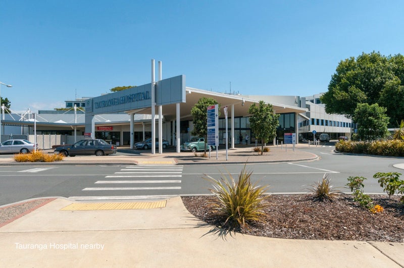 13 Neil Place, Gate Pa, Tauranga - Carousel 19