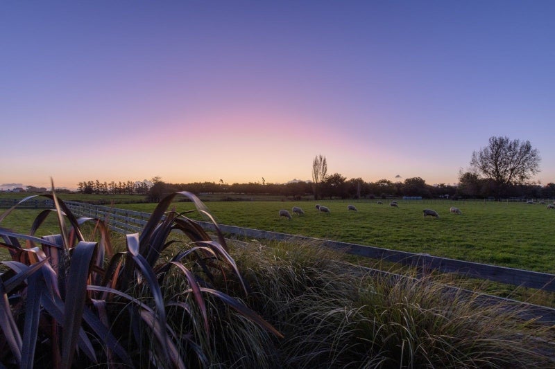 1211B Gordonton Road, Taupiri - Carousel 25