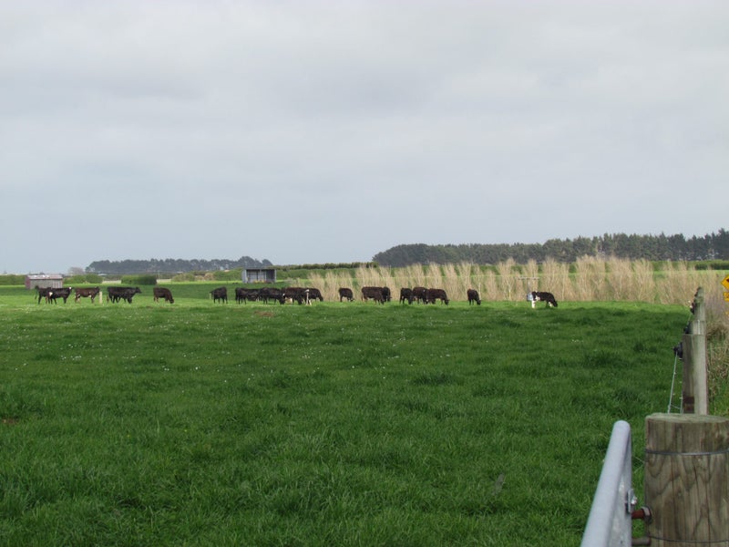 221 Mangapoua Road, Hawera - Carousel 1