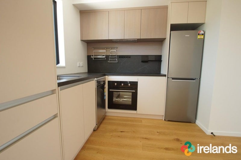 2/32 Cross Street, Phillipstown, Christchurch - Carousel 2