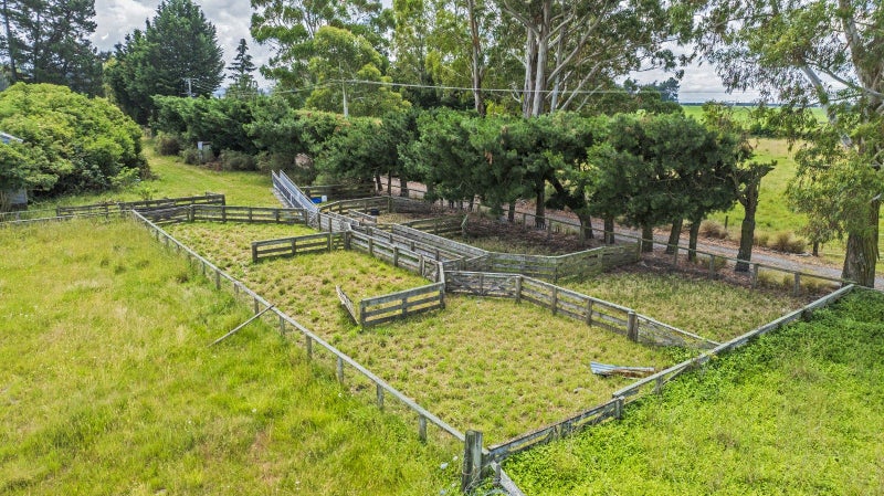 0 Hawkins Lane, HALCOMBE, FEILDING - Carousel 2