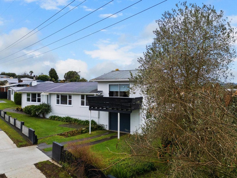 51 Whitaker Street, Kihikihi, Te Awamutu - Carousel 2