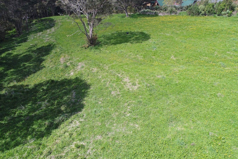 87 Grassmere Road, Henderson Valley, Auckland - Carousel 14