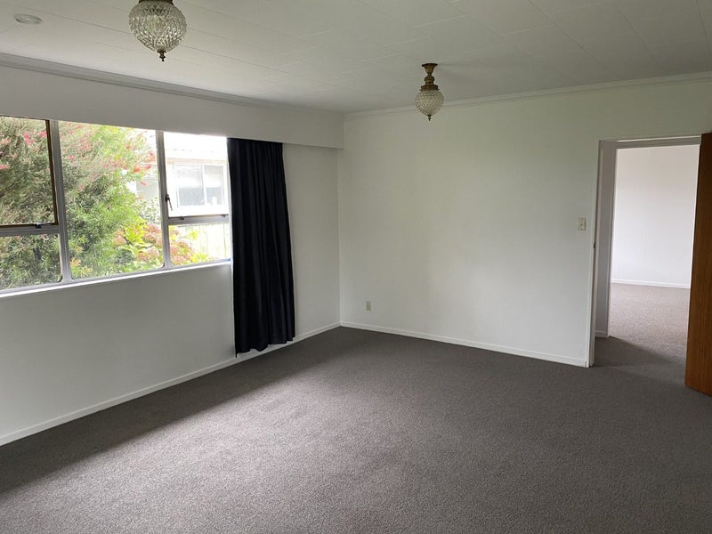 38A Mahoe Street, Hutt Central, Lower Hutt - Carousel 2