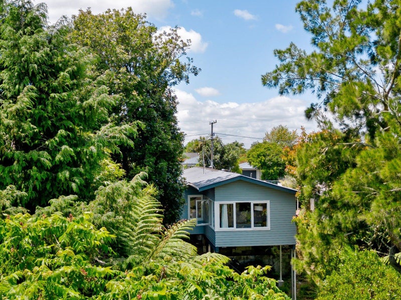 5 Balloch Street, Fairfield, Hamilton - Carousel 1