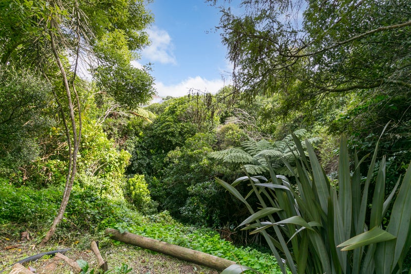 19B Pembroke Road, Northland, Wellington - Carousel 21