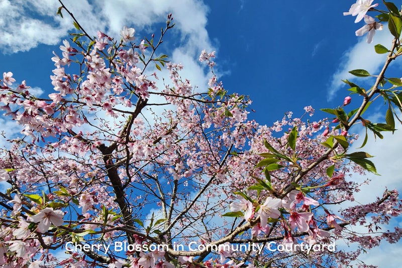 103/104 Edinburgh Street, Pukekohe, Pukekohe - Carousel 15