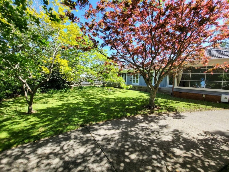 45A Wallace Road, Papatoetoe, Auckland - Carousel 16