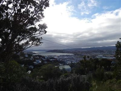 36 Hornsey Road, Melrose, Wellington - Carousel 19