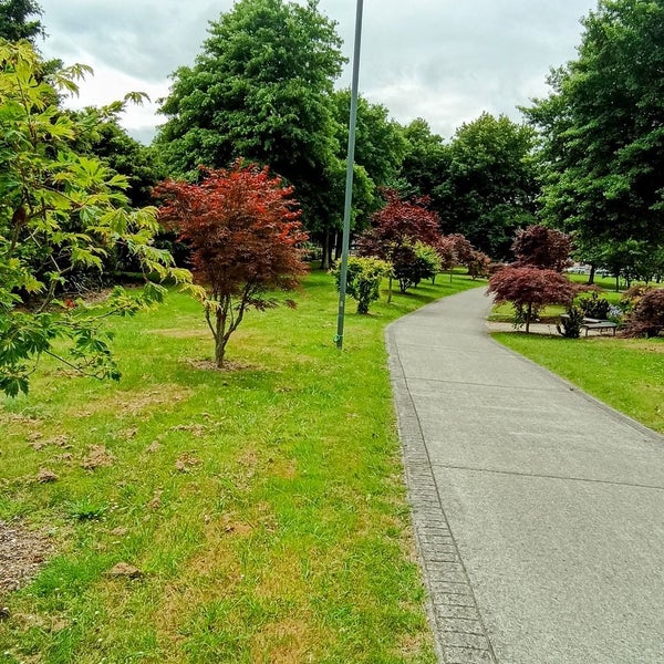 31 Seddon Road, Hamilton - Carousel 10