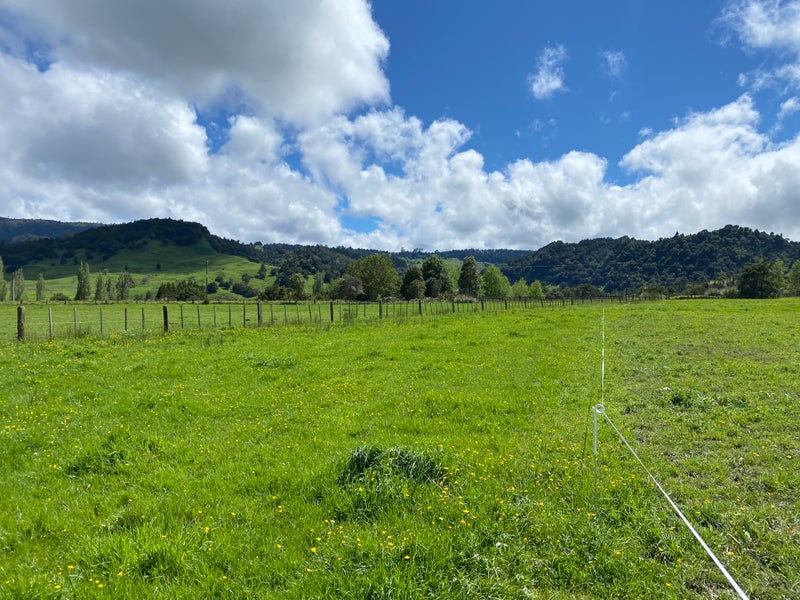 94 Pukepoto Road, Okaihau - Carousel 2