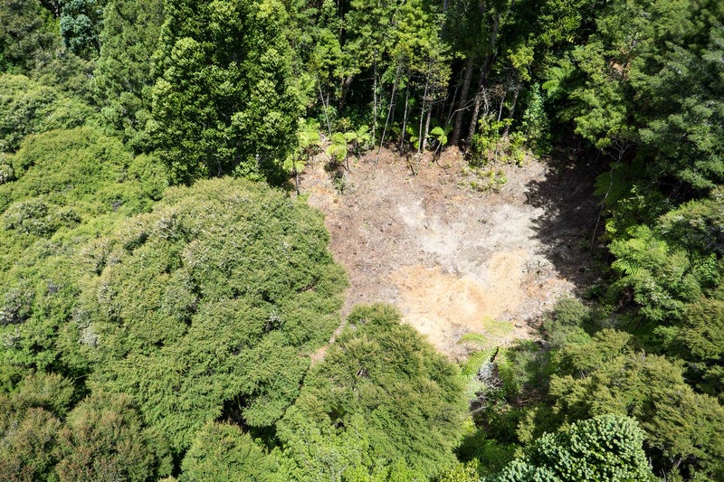 19 Hobson Road, Lucas Heights, Auckland - Carousel 3