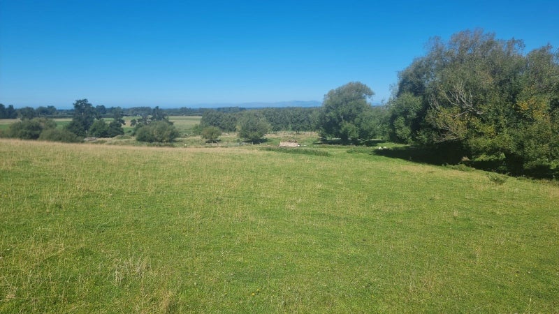 89 Campions Road, Cust, Rangiora - Carousel 42