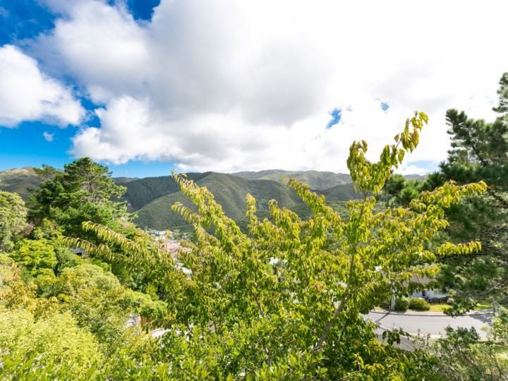 60A Quebec Street, Kingston, Wellington - Carousel 11