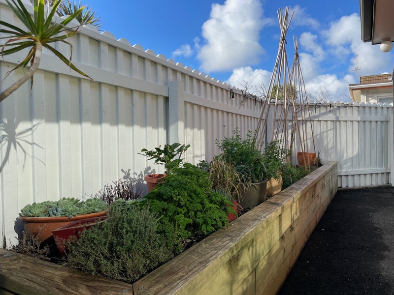 165B Queens Drive, Lyall Bay, Wellington - Carousel 10