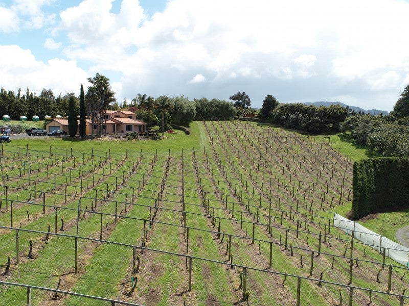 6A Woodland Road, Katikati - Carousel 1