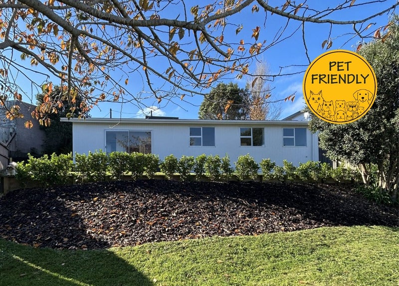 163B Pembroke Street, Westown, New Plymouth - Carousel 2