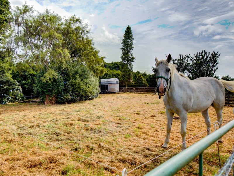 82 Herbert Street, Kihikihi, Te Awamutu - Carousel 2