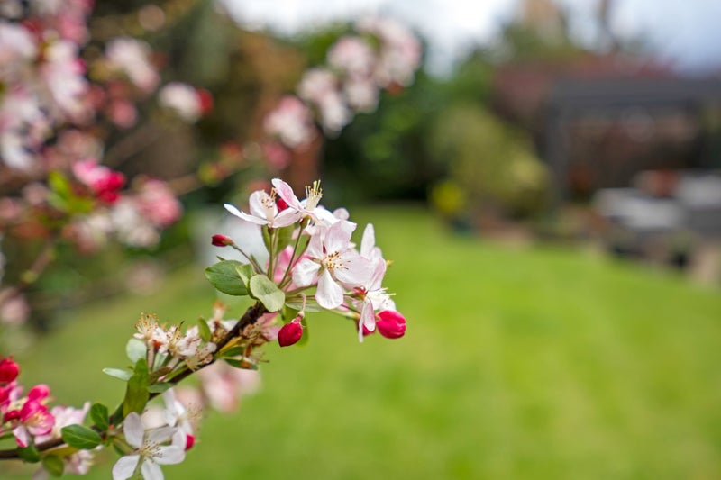 13 Kereru Street, Maunu, Whangarei - Carousel 34