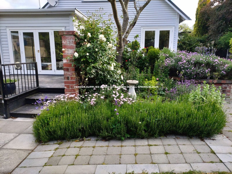 43 Opawa Road, Waltham, Christchurch - Carousel 28