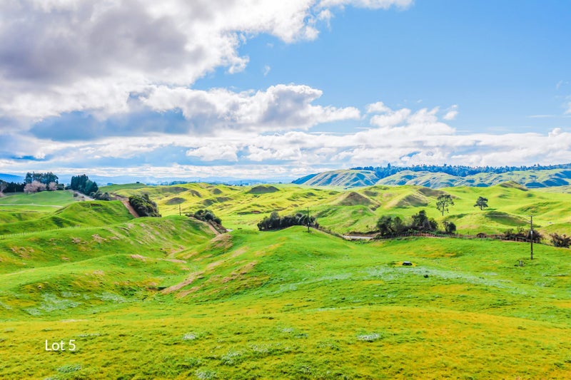 473 Otake Road, Taupo - Carousel 2
