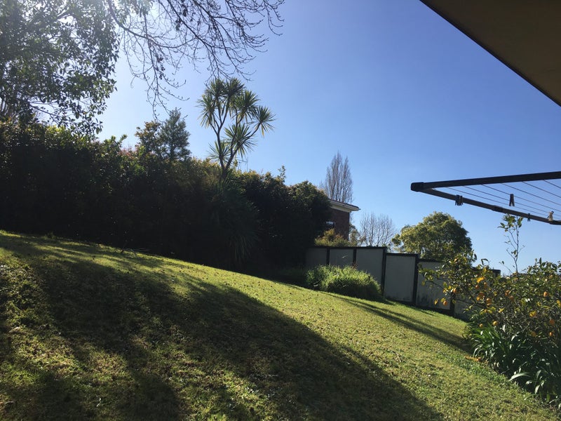 8 Steele Street, Meadowbank, Auckland - Carousel 20