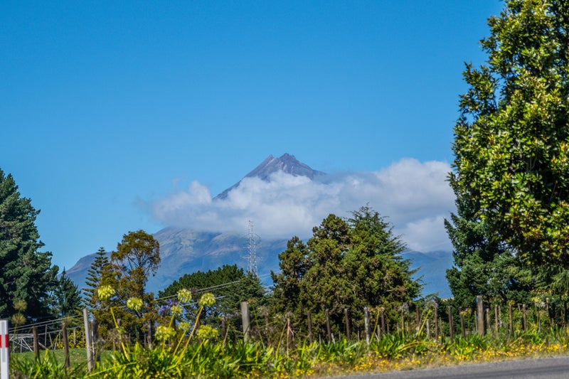 568 Mangorei Road, Mangorei - Carousel 14