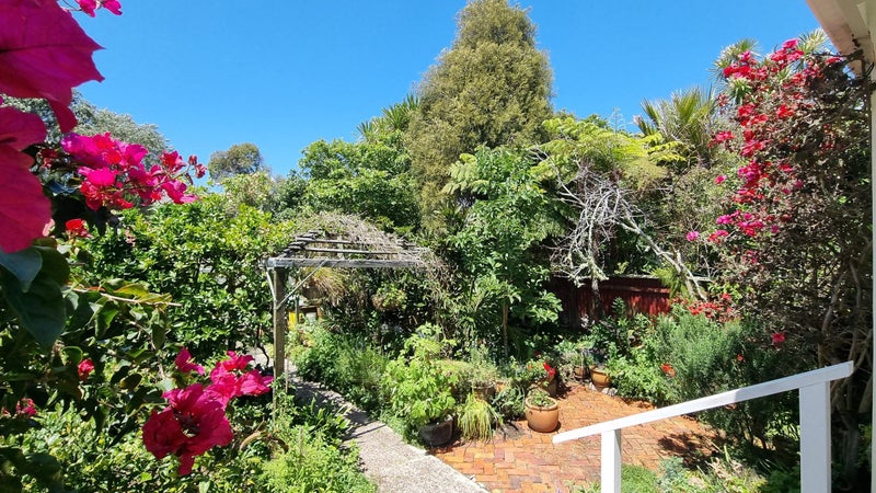 28 Summer Street, Stanley Point, Auckland - Carousel 50