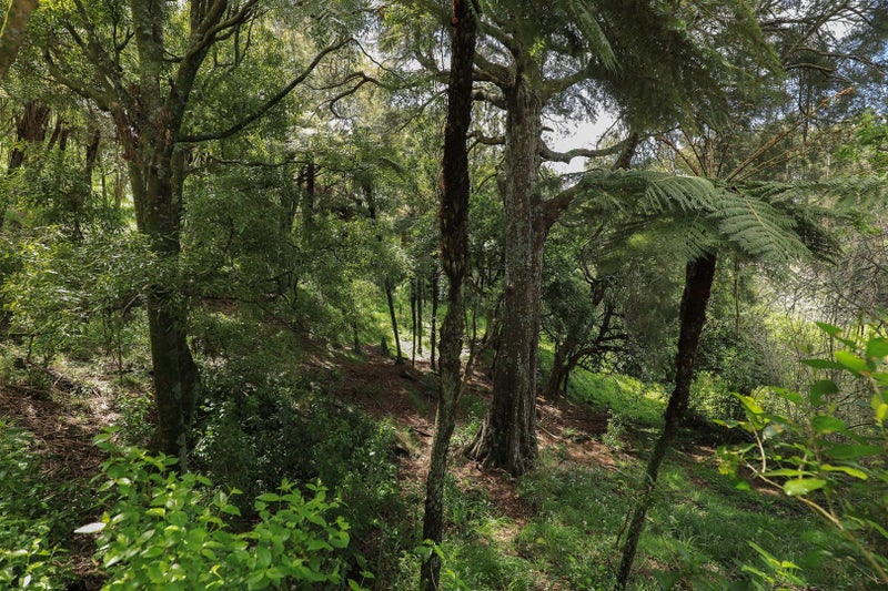 0 Glen Murray Road, Churchill, Huntly - Carousel 2