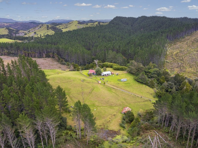 1053 Waiotehue Road, Herekino, Kaitaia - Carousel 22