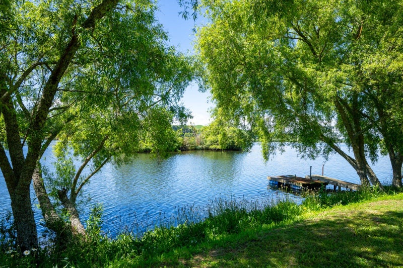 2310 Maungatautari Road, Maungatautari - Carousel 32