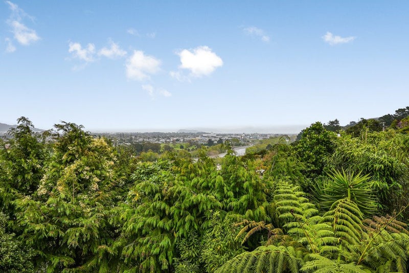 17 Hill Road, Belmont, Lower Hutt - Carousel 29