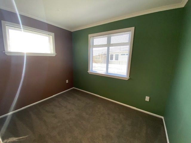 12B Barry Avenue, Whakatane, Whakatane - Carousel 14