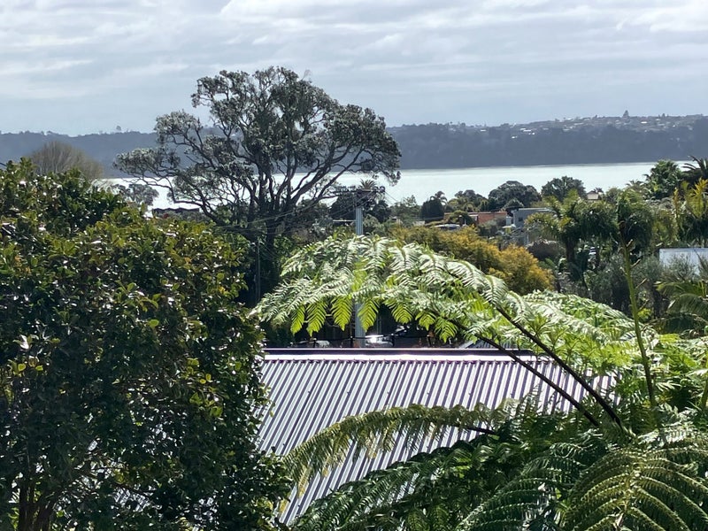 1/9 Clifton Road, Herne Bay, Auckland - Carousel 2